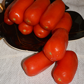 Plant Photo 6