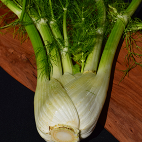 Plant Photo 8